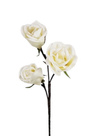 ROSA FOAM X3 78CM CR