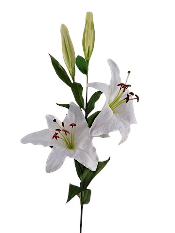 STARGAZER X4 86CM PURE WH