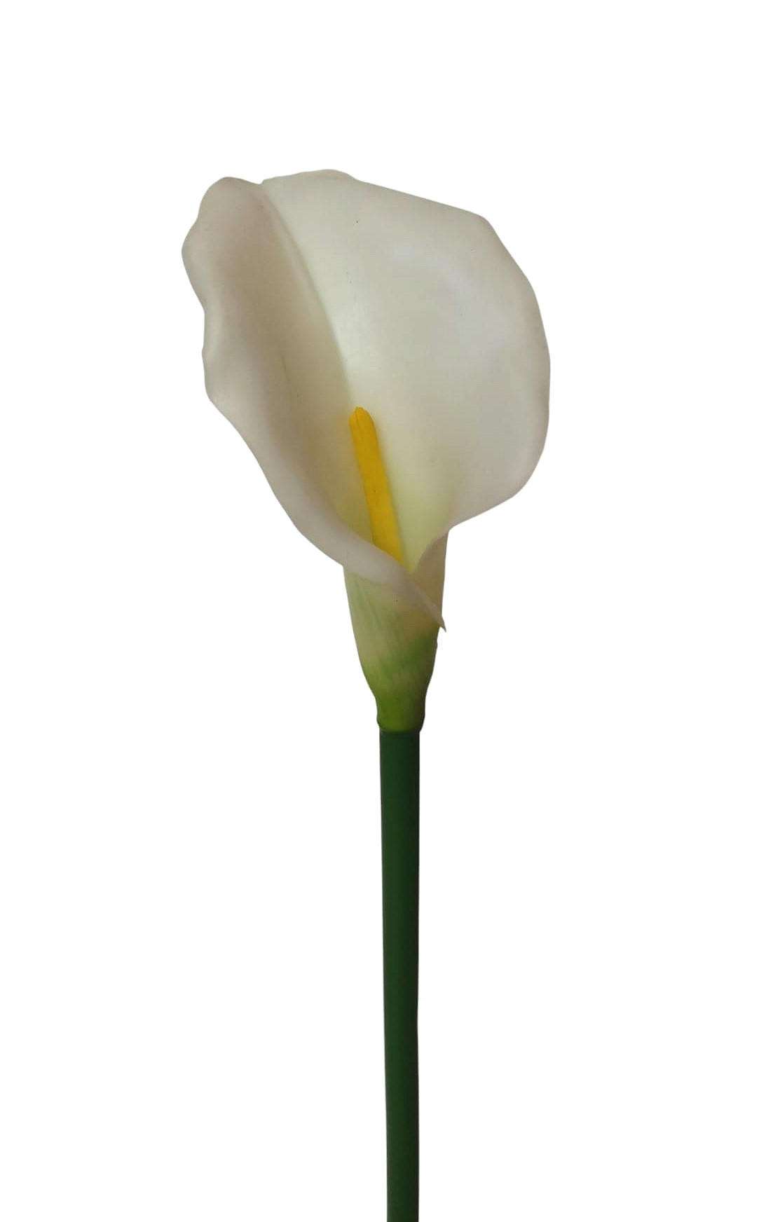 CALLA GOMMA RT 72CM WH