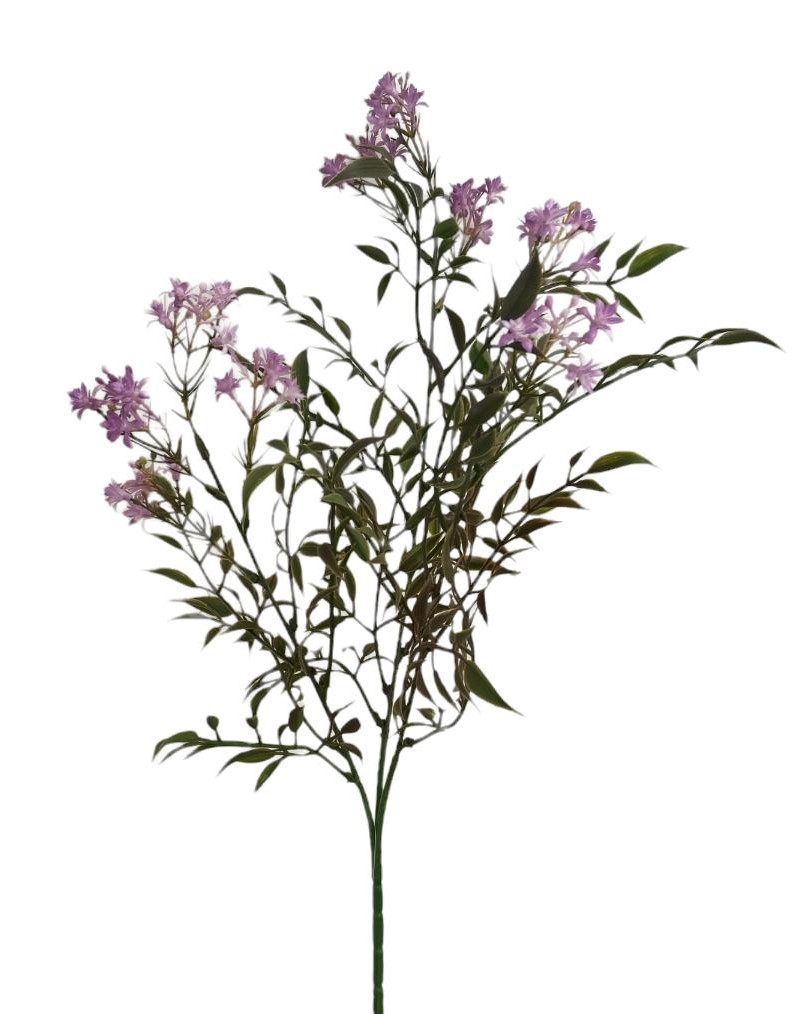 ASTER SPRAY X3 65CM LL