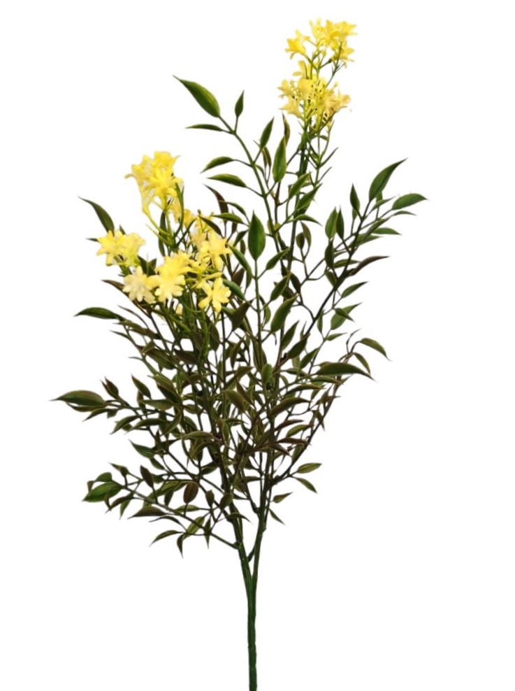 ASTER SPRAY X3 65CM YL