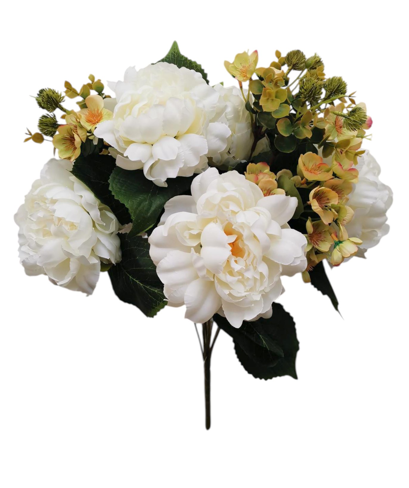 BUSH PEONIA X10 53CM CR