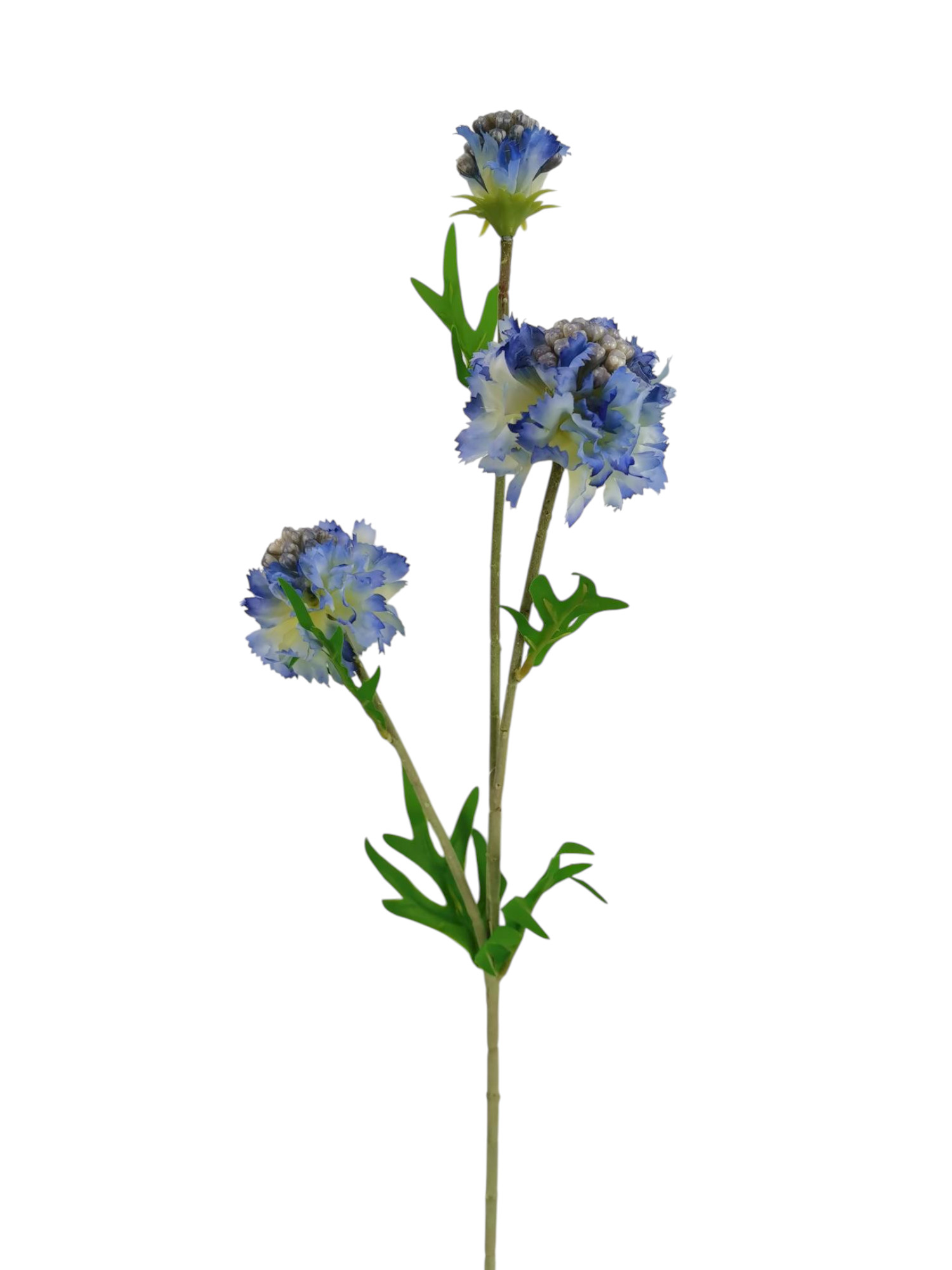 SCABIOSA SPRAY X3 57CM BL