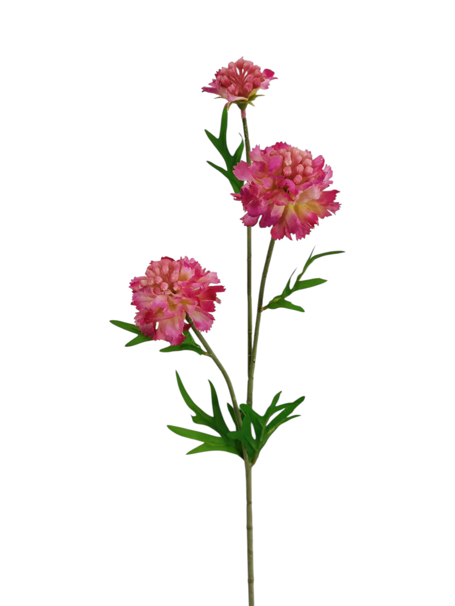 SCABIOSA SPRAY X3 57CM BT