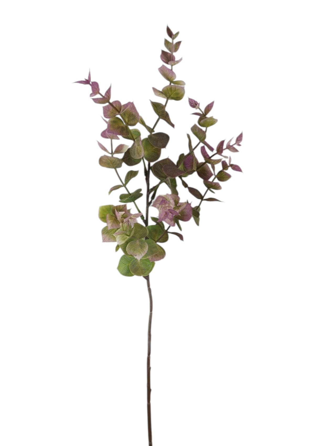 Prodotto
