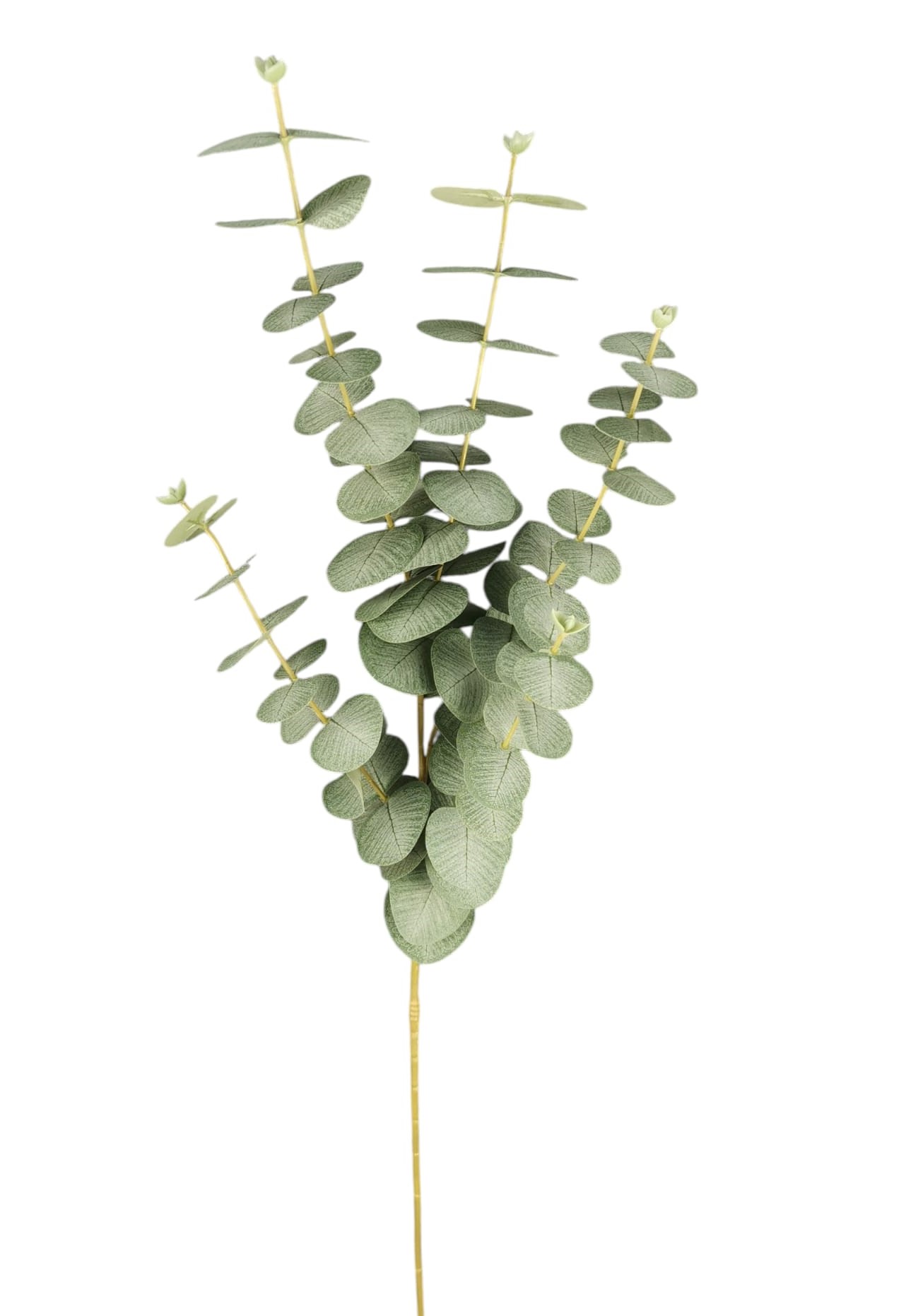 EUCALIPTUS SPRAY X5 95CM GR