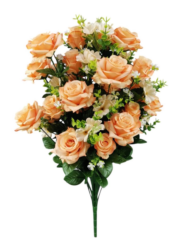 BUSH ROSA BOCCIOLO X36 70CM OR