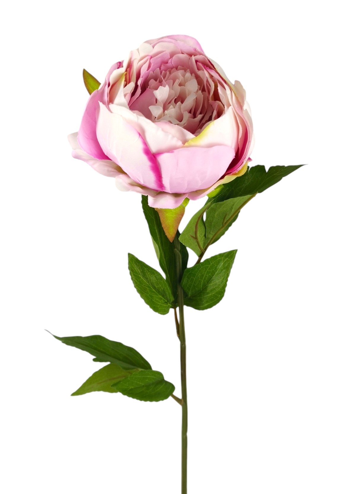 PEONIA SPRAY X1 72CM PK