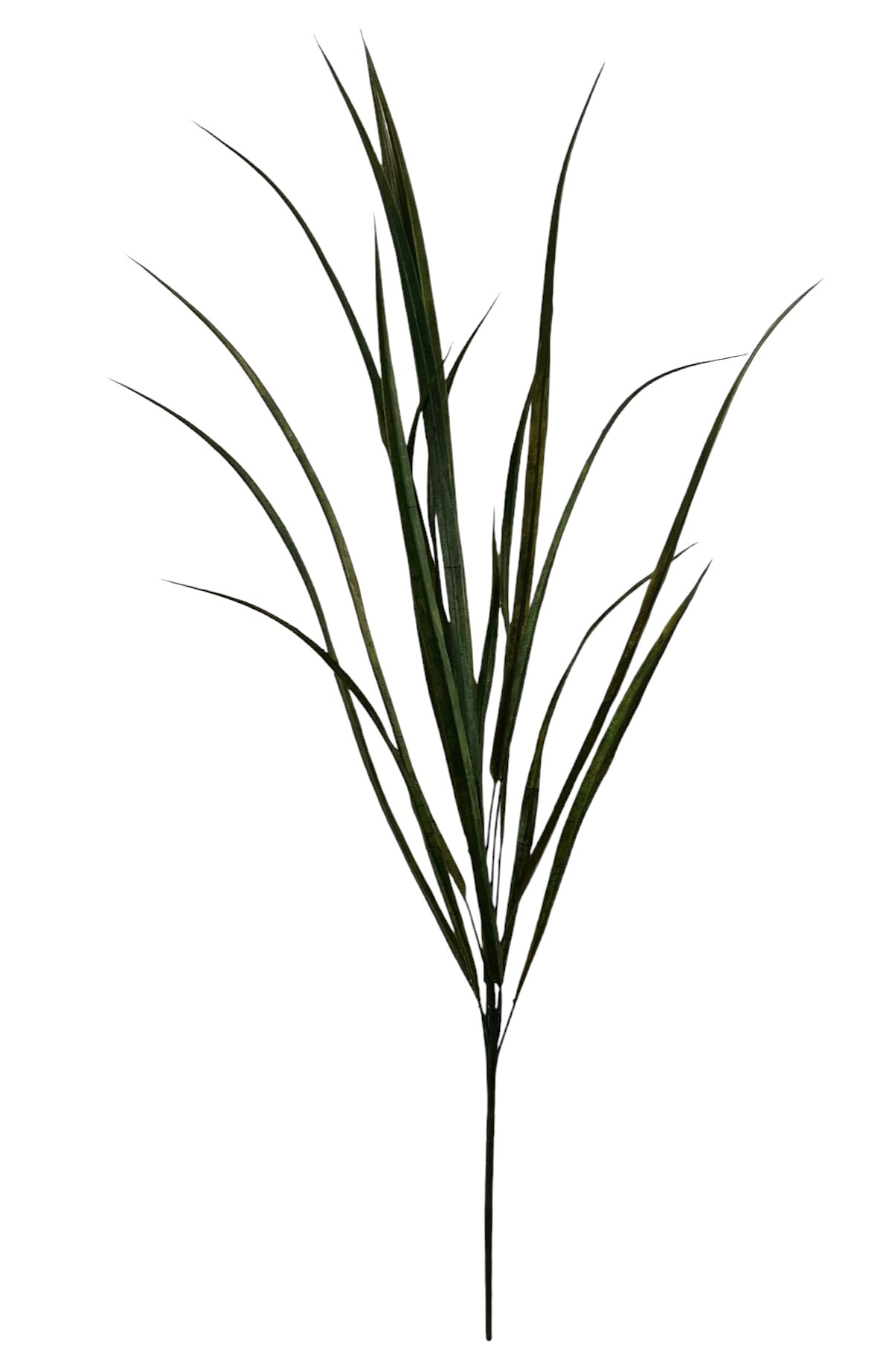 TR059GR