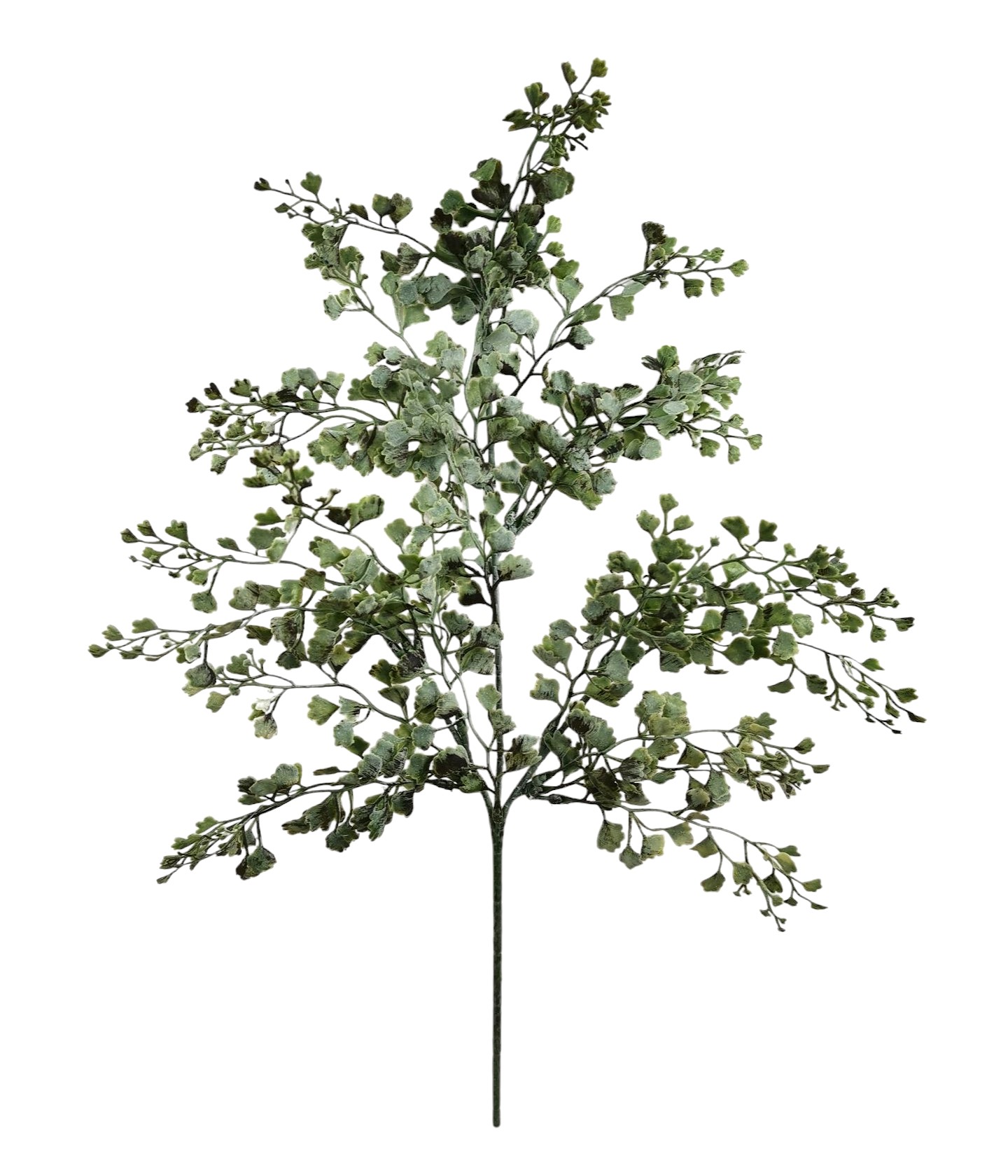 TR060GR