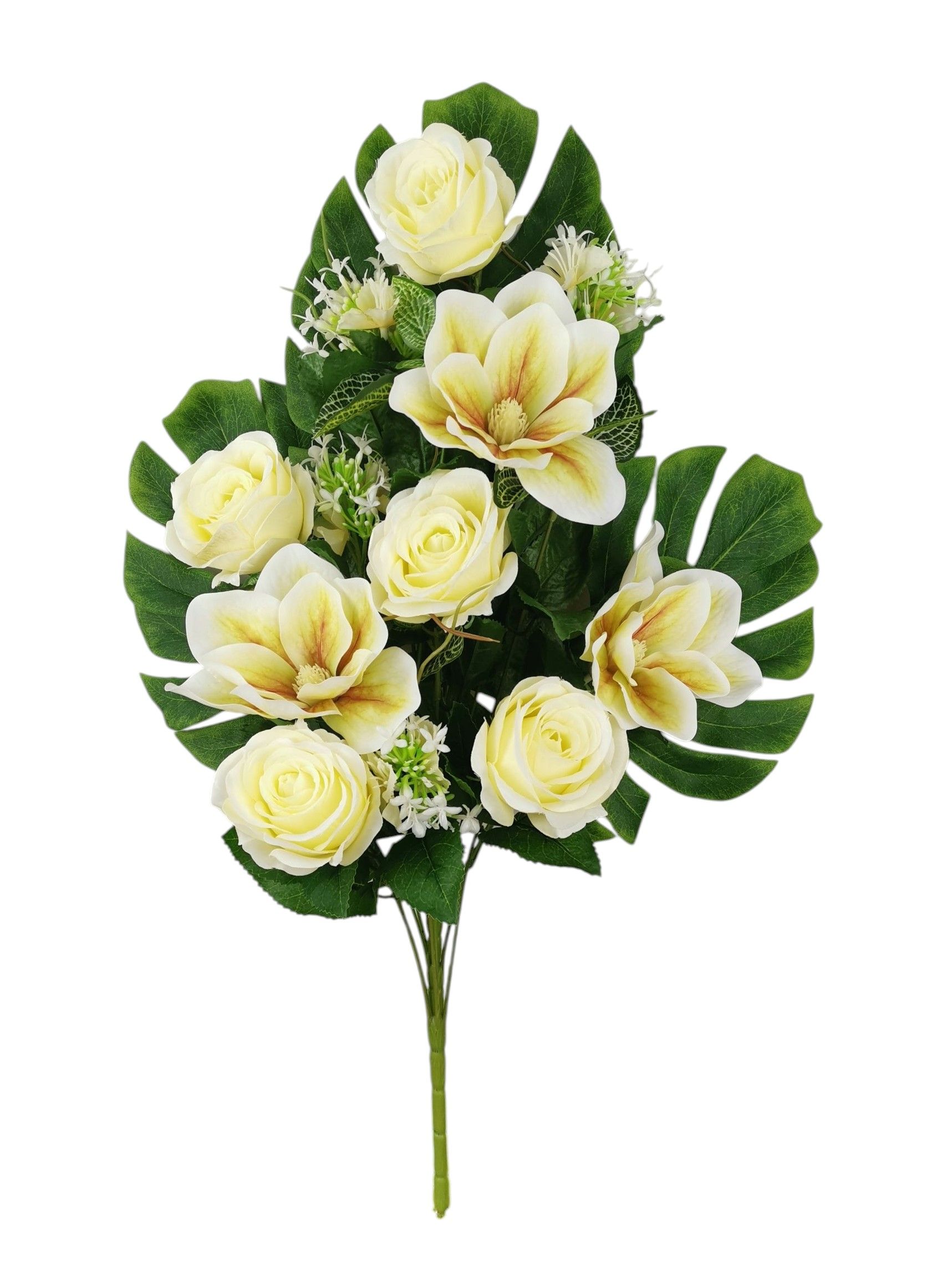 FR MAGNOLIA BOCCIOLO X17 60CM CR