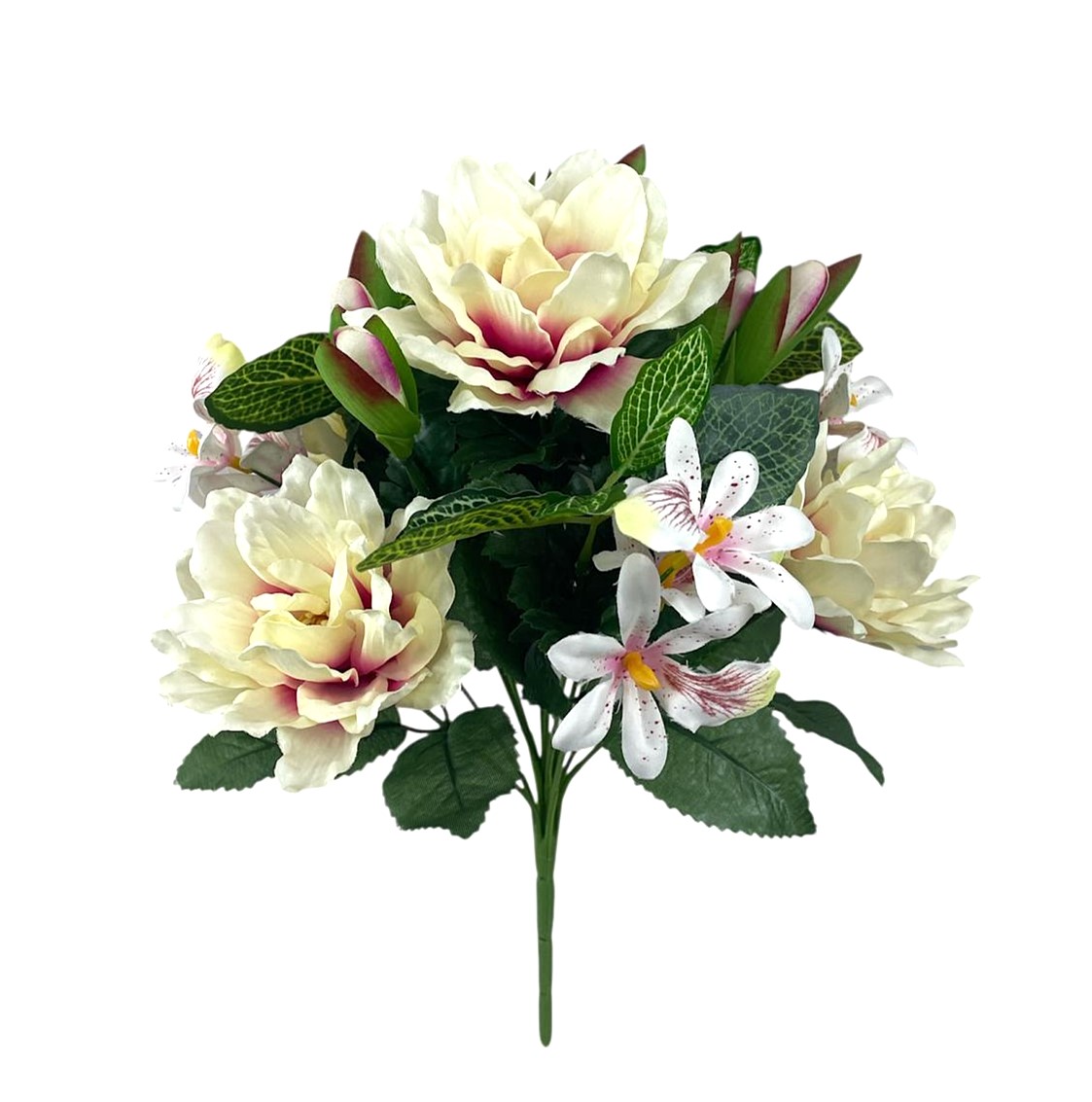BUSH NINFEA X13 35CM BT