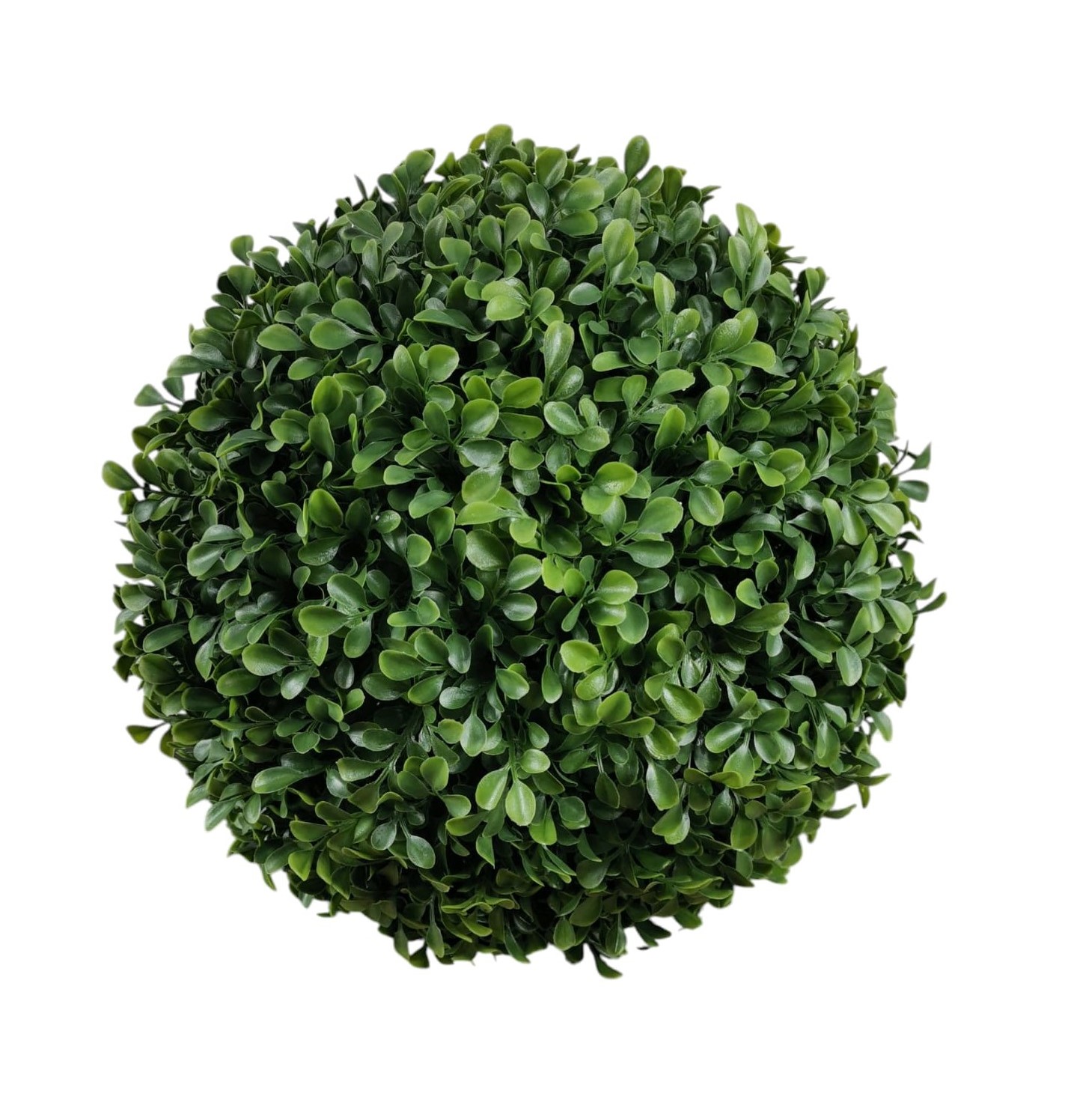 BOXWOOD BALL 30CM UV+ GR