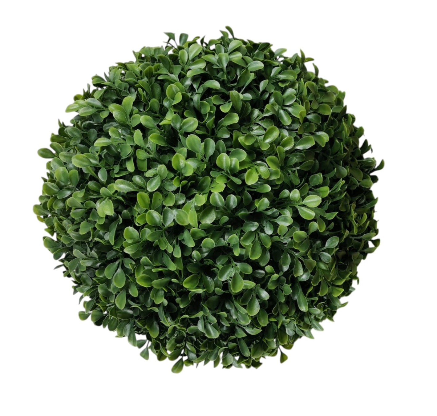 Prodotto
