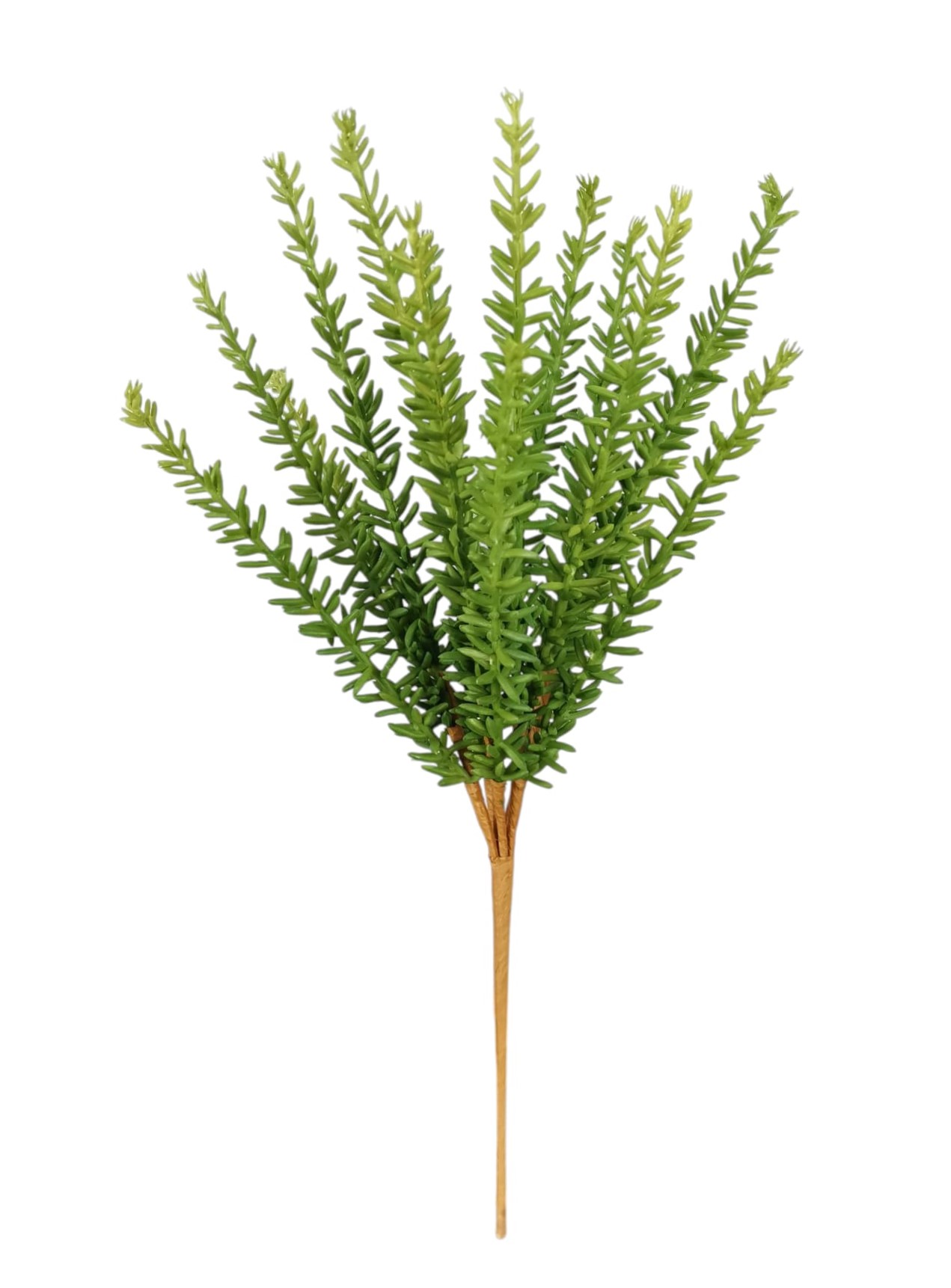 BUSH ROSMARINO X15 38CM GR