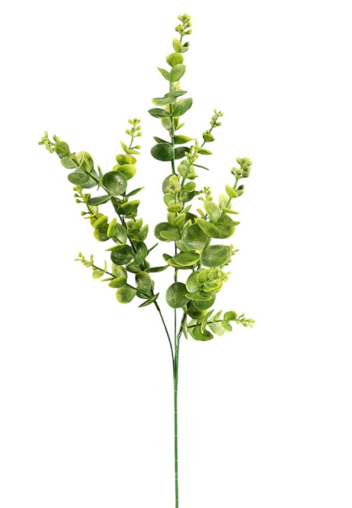 EUCALIPTUS SPRAY X3 67CM GR