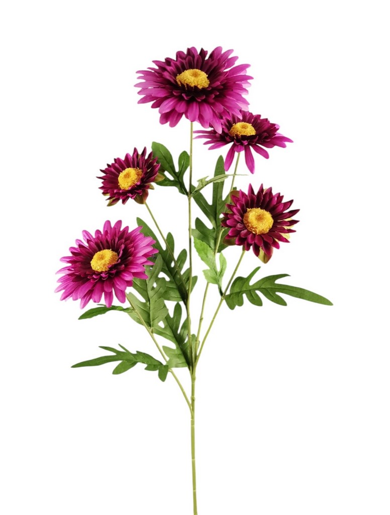 DALIA SPRAY X5 79CM BT