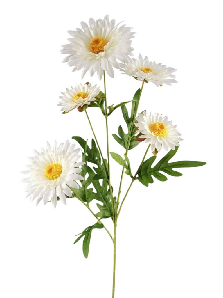 DALIA SPRAY X5 79CM CR