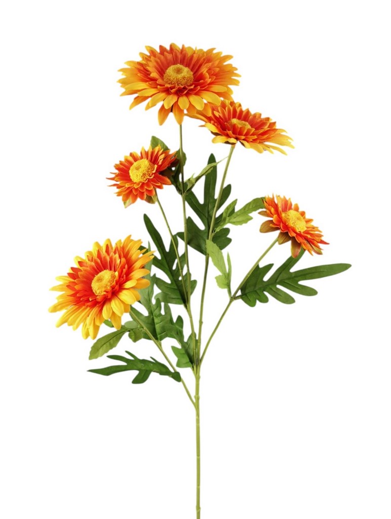 DALIA SPRAY X5 79CM OR