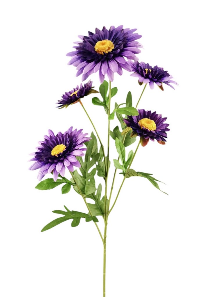 DALIA SPRAY X5 79CM PU