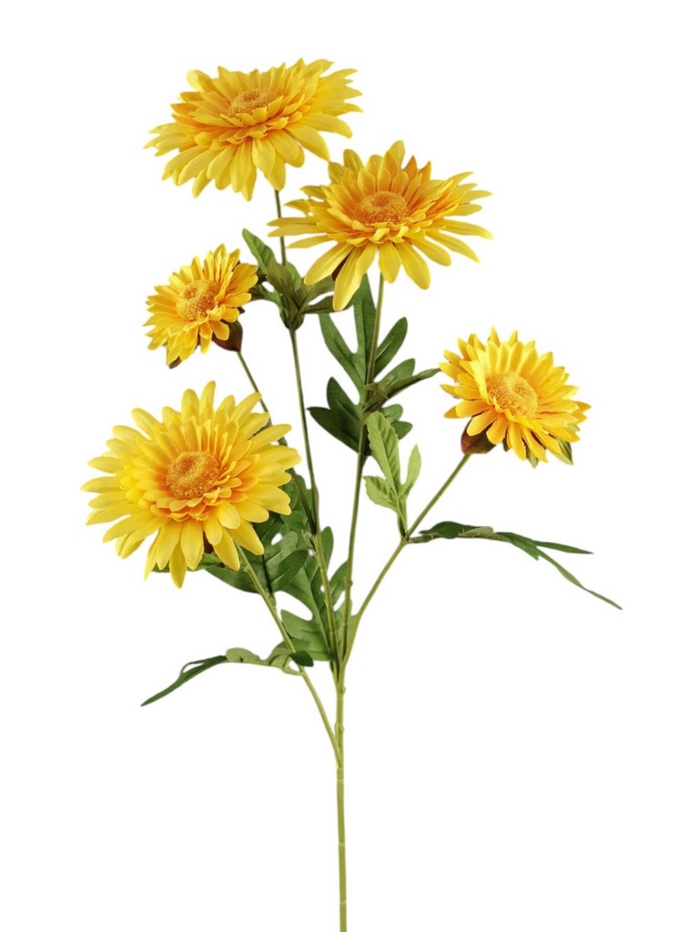 DALIA SPRAY X5 79CM YL