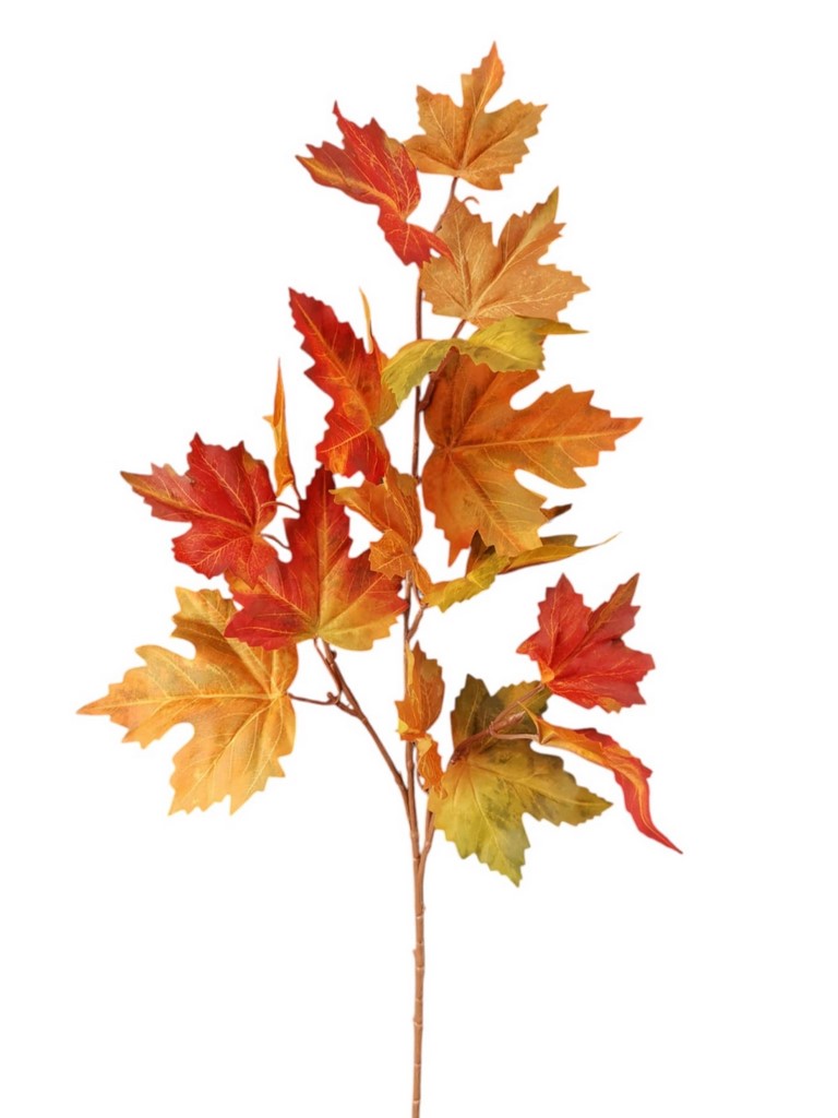 MAPLE SPRAY 66CM OR
