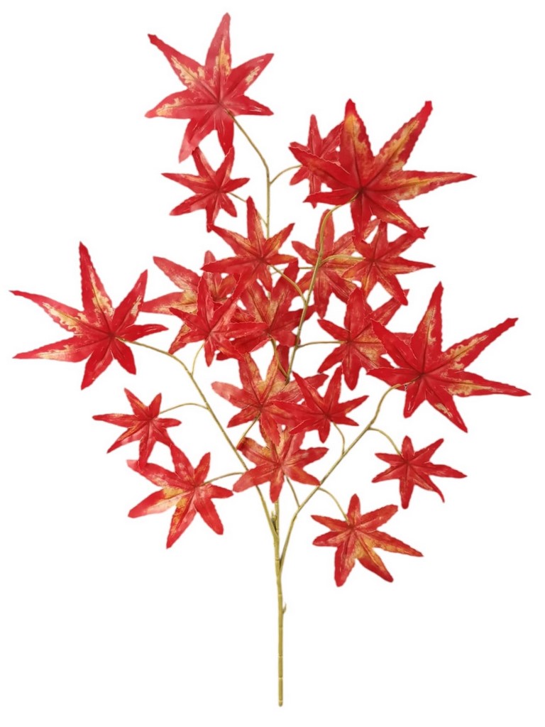 ACERO SPRAY 63CM RD