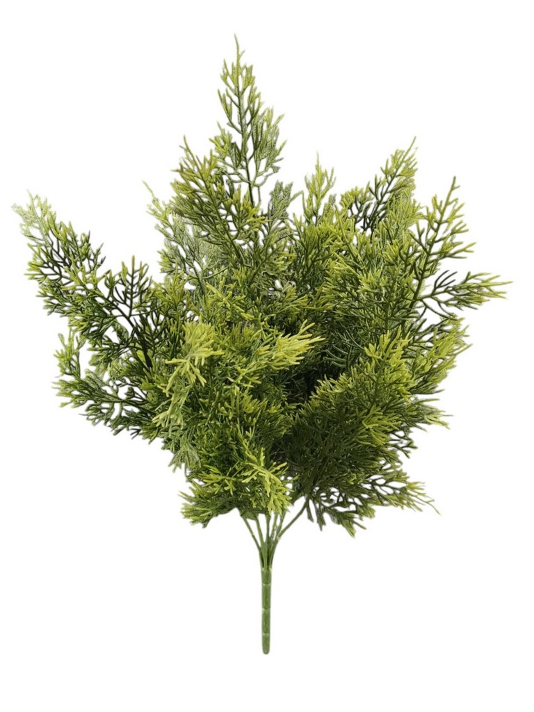 CEDAR BUSH X7 50CM GR
