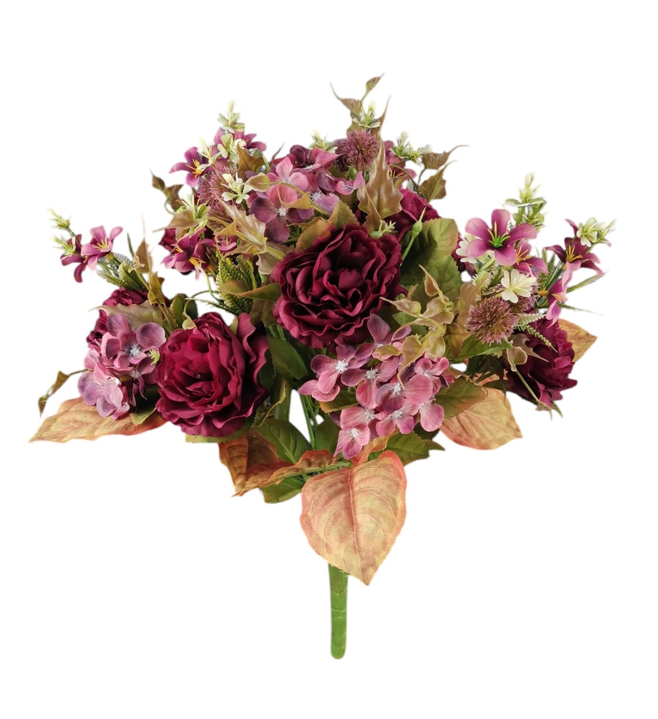 BUSH PEONIA FILLER X15 50CM BU