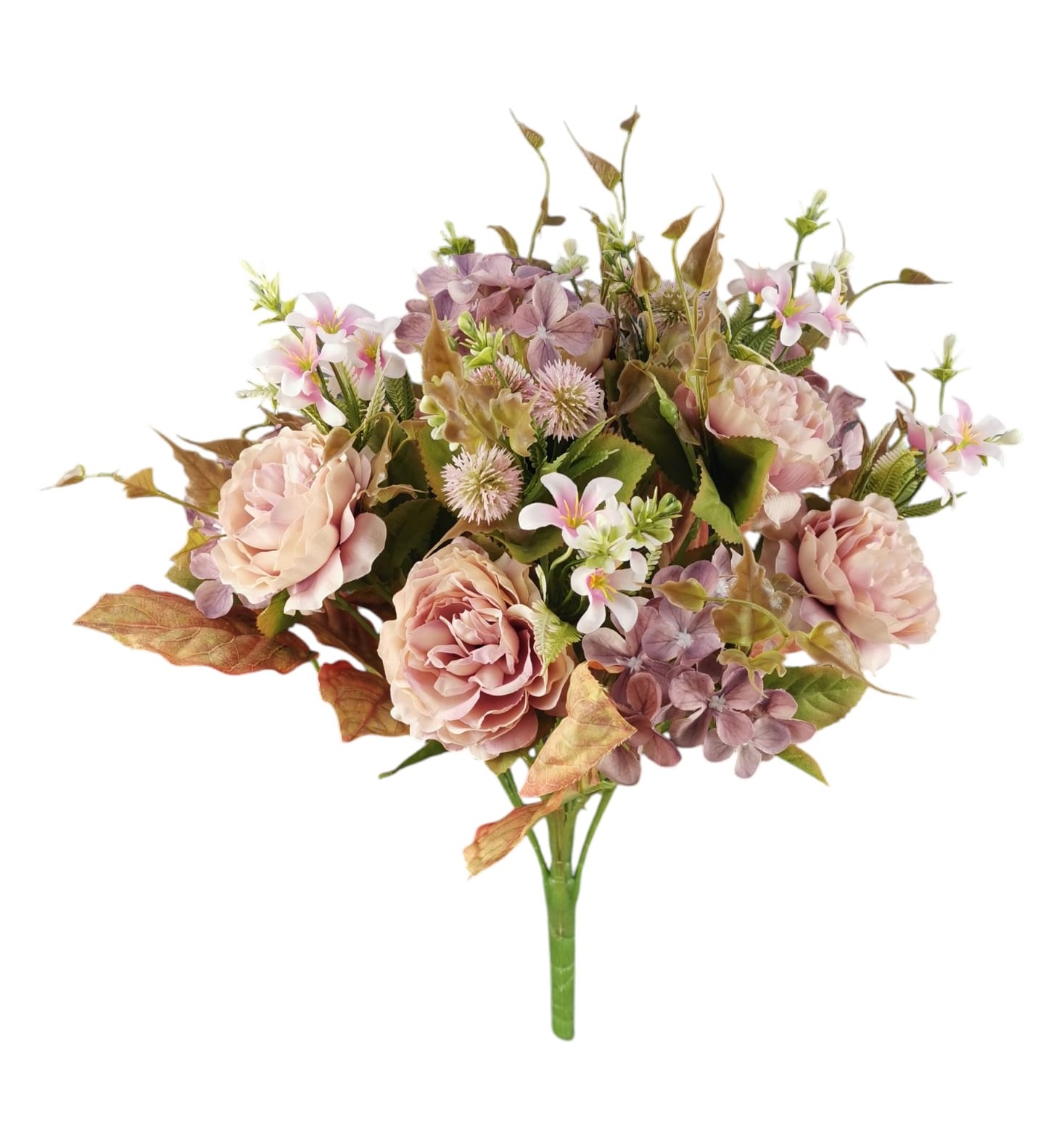 BUSH PEONIA FILLER X15 50CM MV