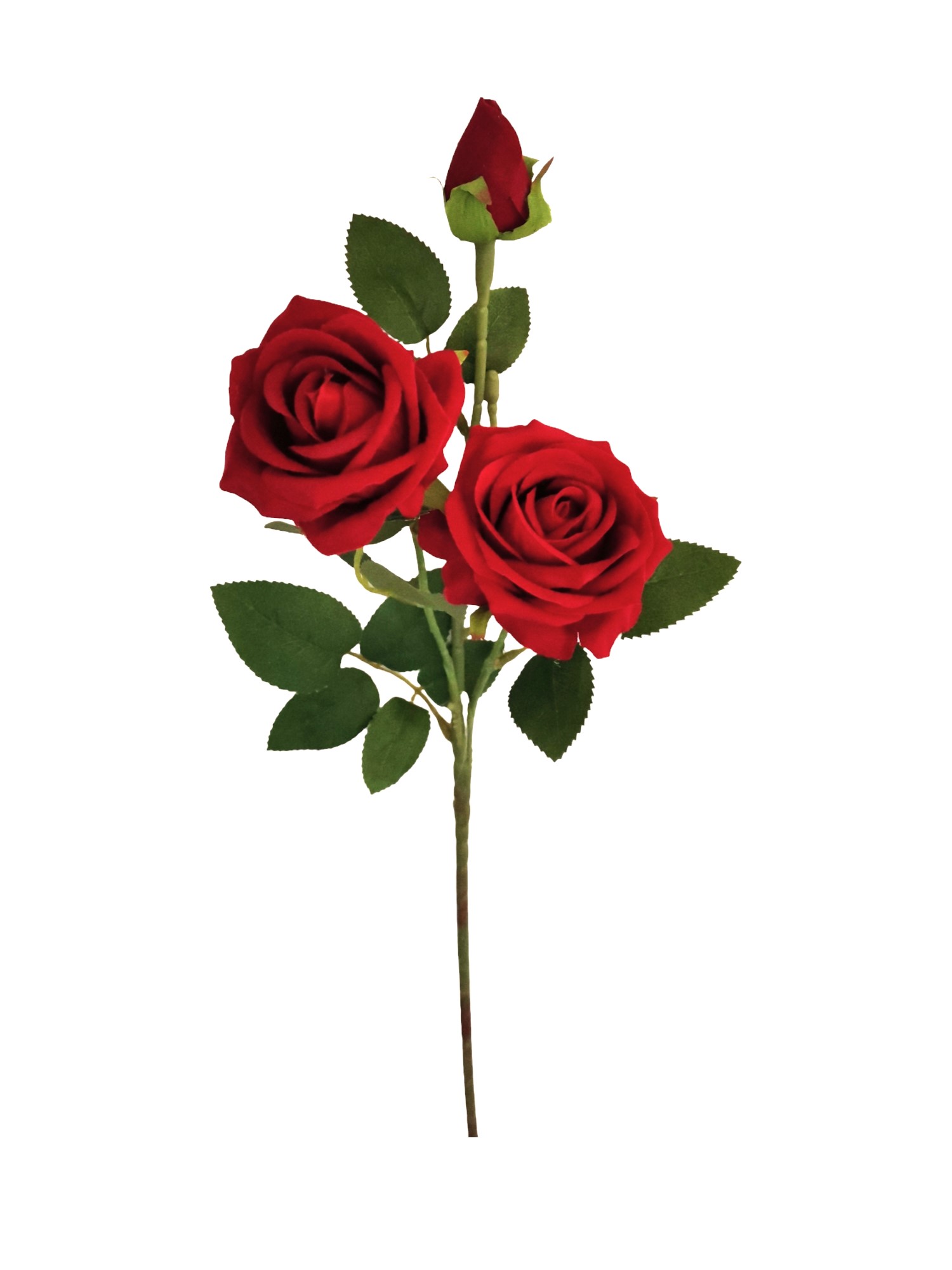 ROSA SPRAY X3 VELVET 58CM RD