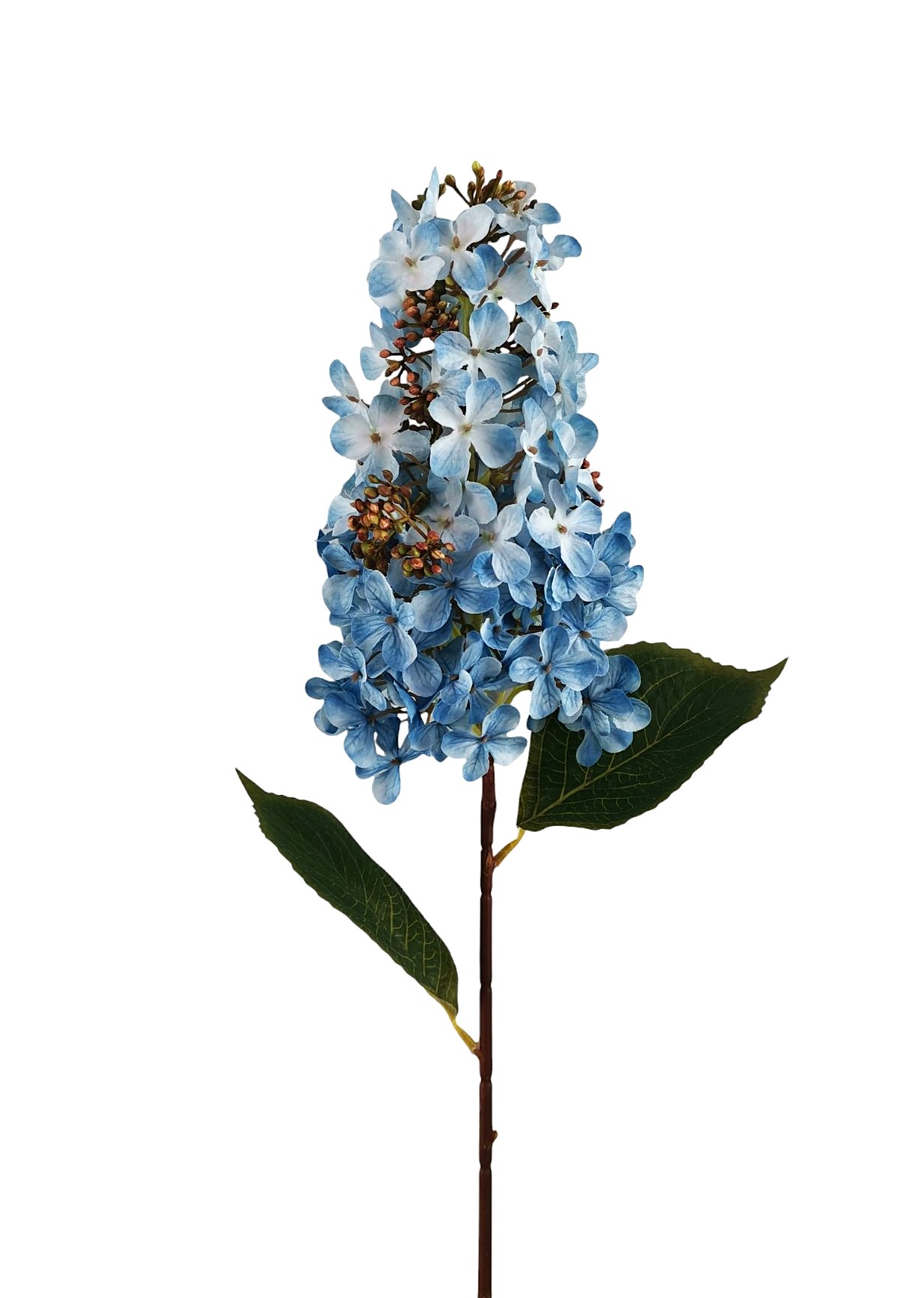 LILL� SPRAY 80CM BL