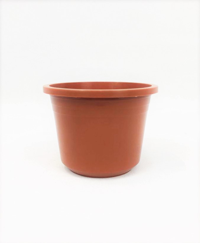 VASO SPRING DIAMETRO 10