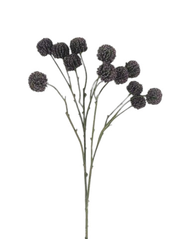 ALLIUM SPRAY X12 67CM LV