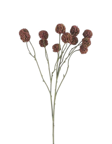 ALLIUM SPRAY X12 67CM MV