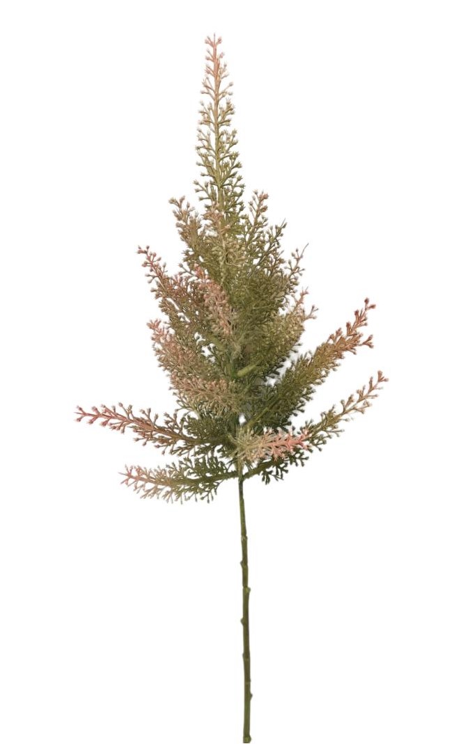 ASTILBE SPRAY 70CM GRPK