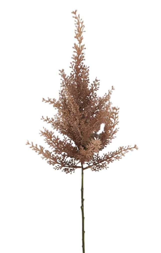 ASTILBE SPRAY 70CM MV