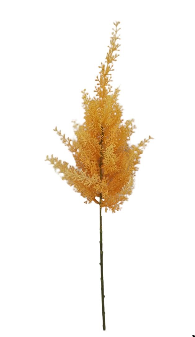 ASTILBE SPRAY 70CM YL