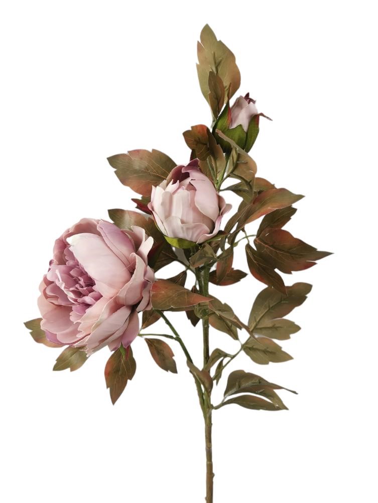 PEONIA SPRAY X3 90CM LTPU