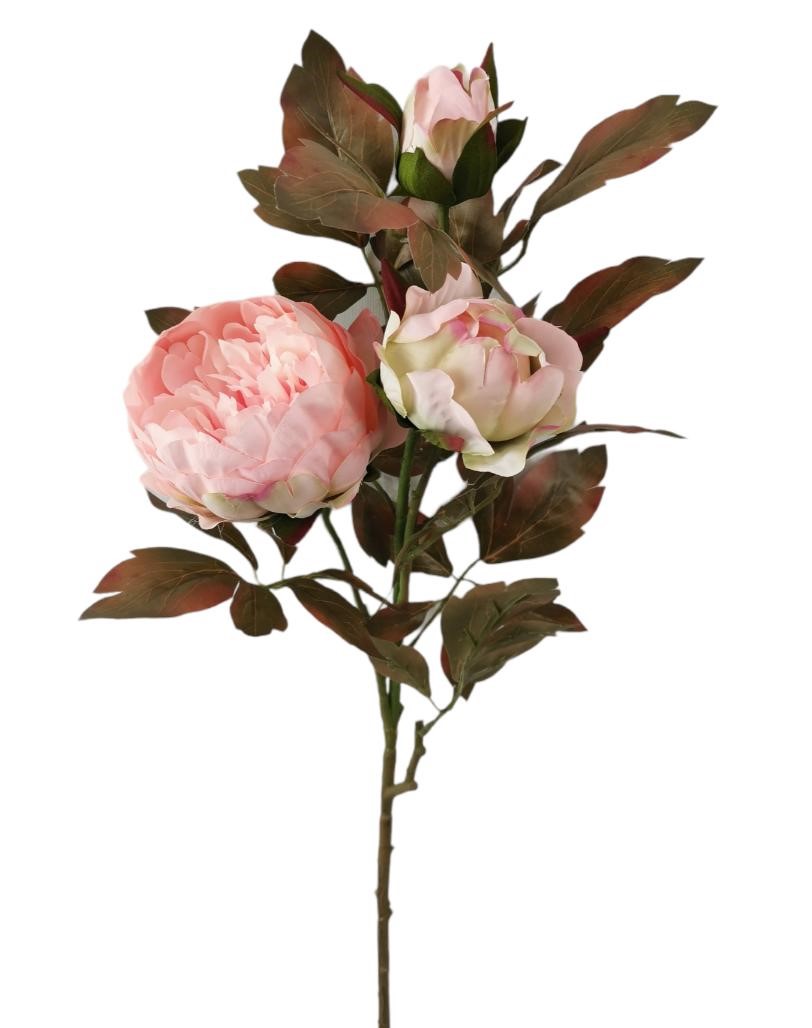 PEONIA SPRAY X3 90CM PK