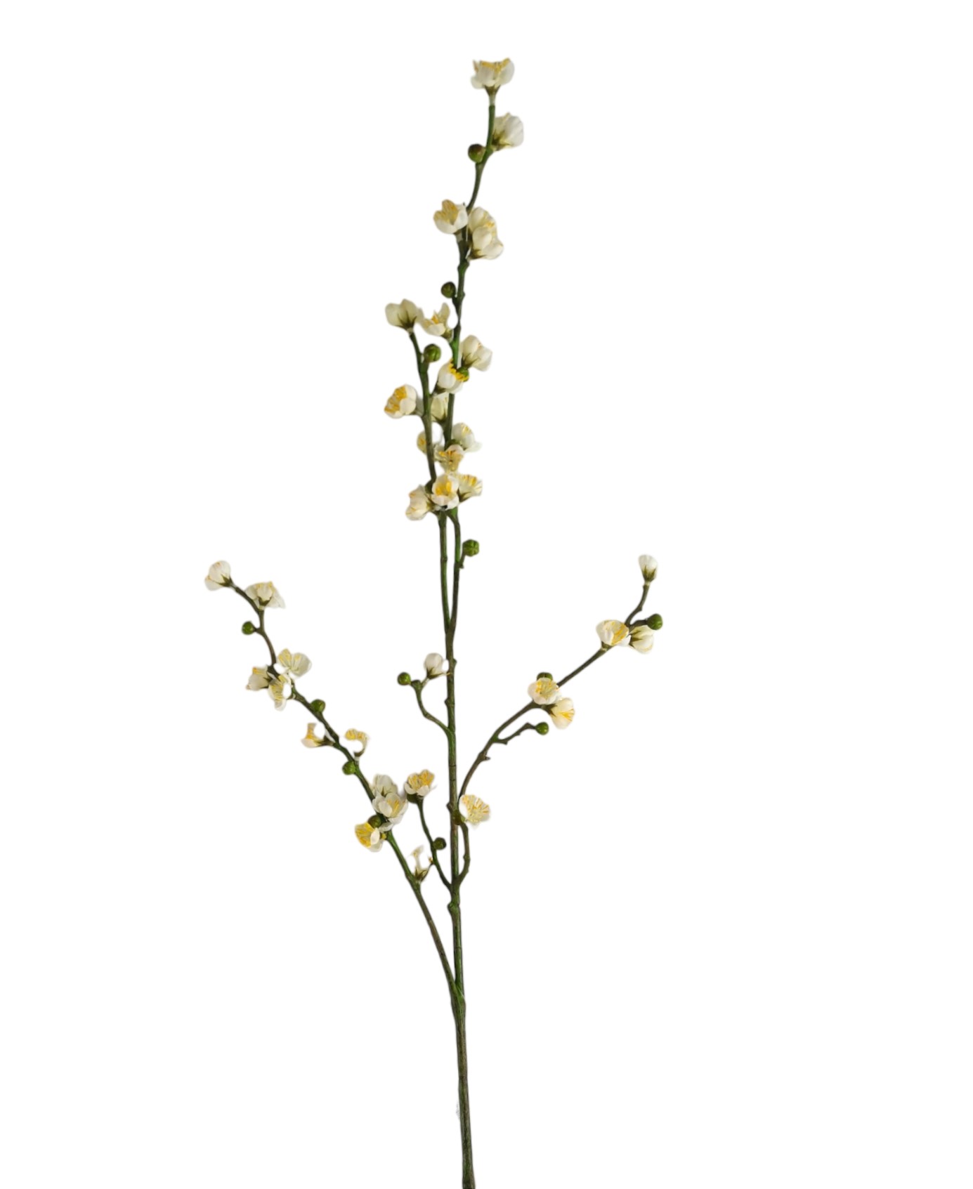 Prodotto