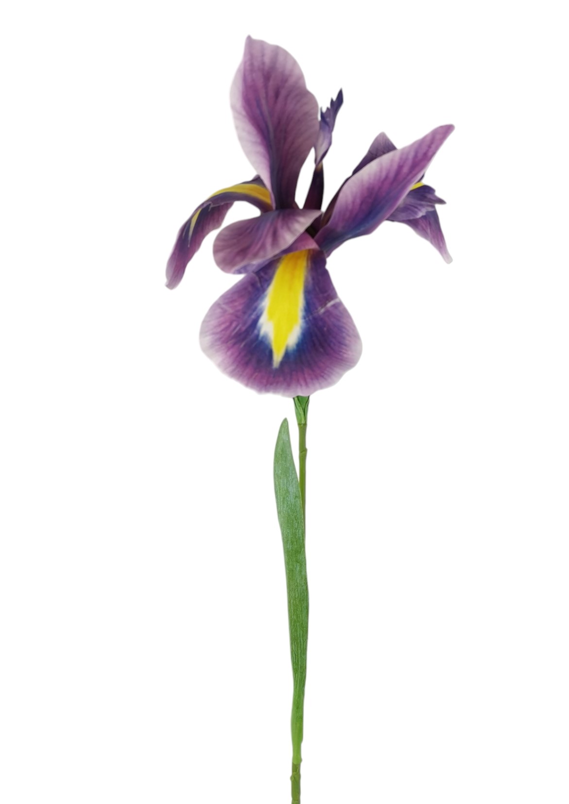 IRIS RT 79CM PU
