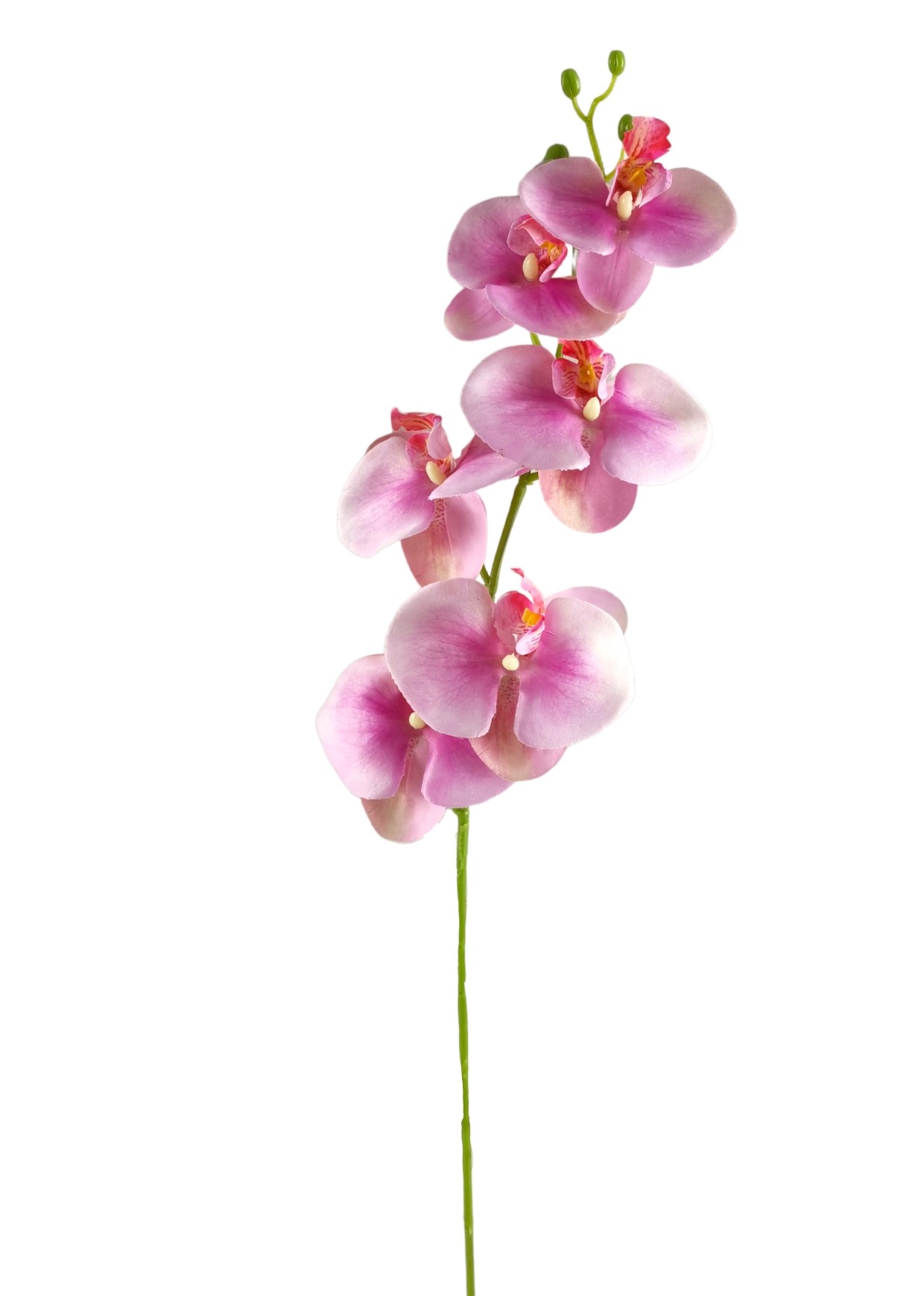 ORCHIDEA SPRAY X6 78CM LL