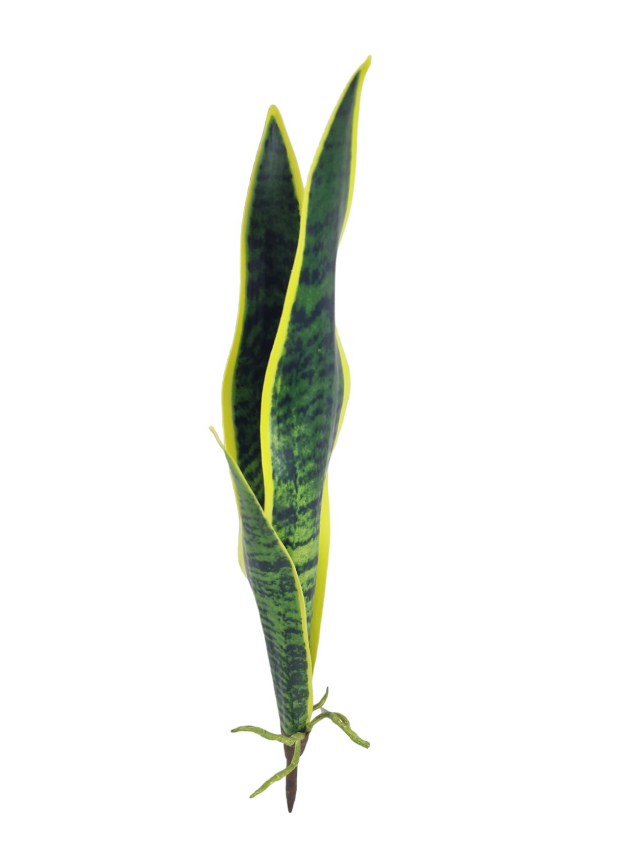 FG SANSEVERIA RT 47CM GRYL