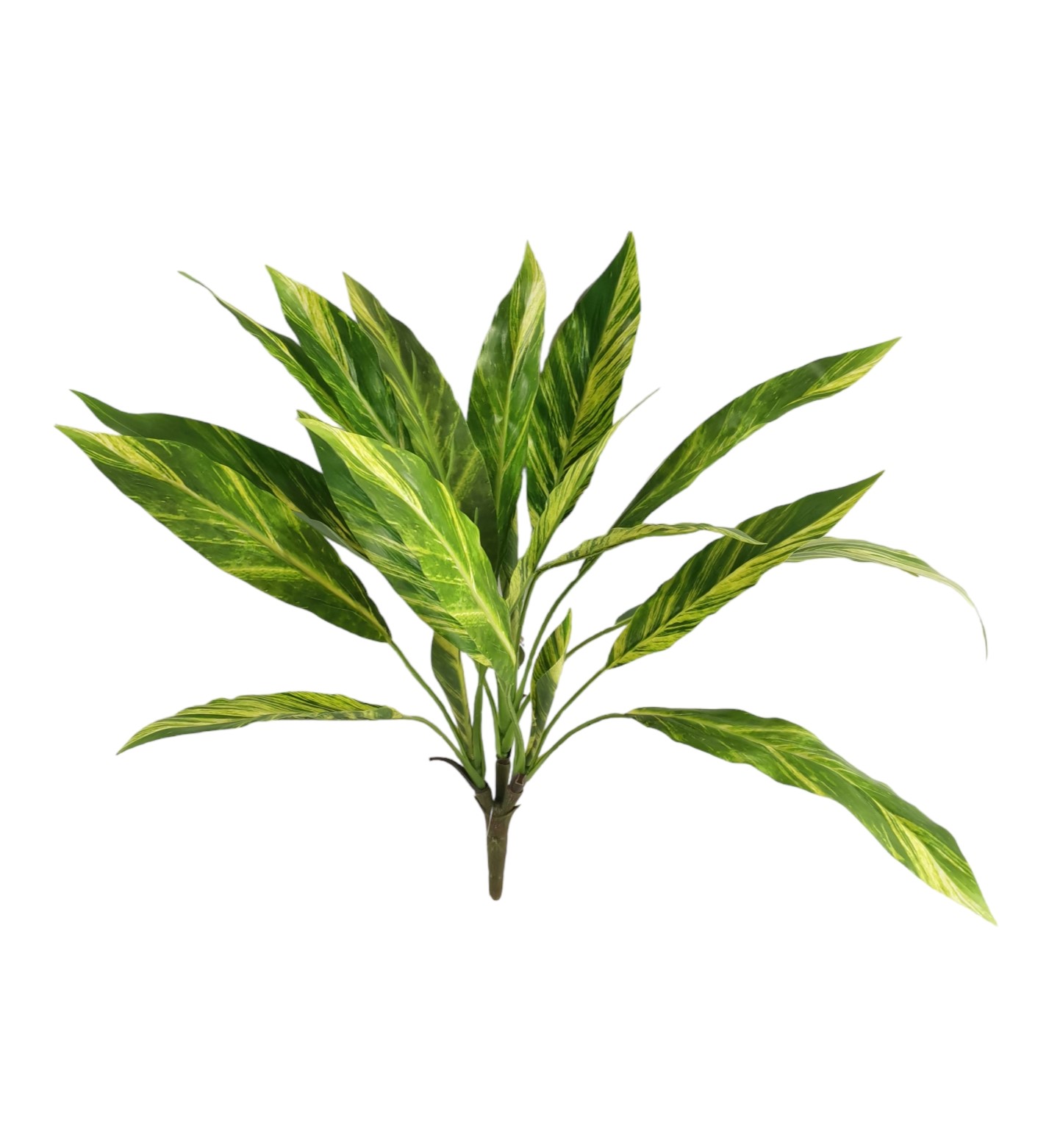 W271GRYL