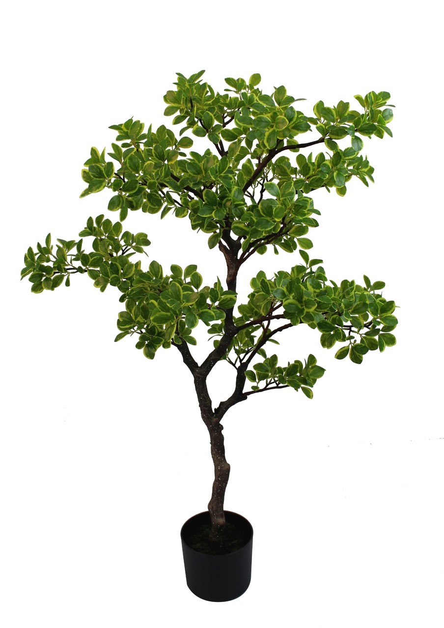 W287GRYL