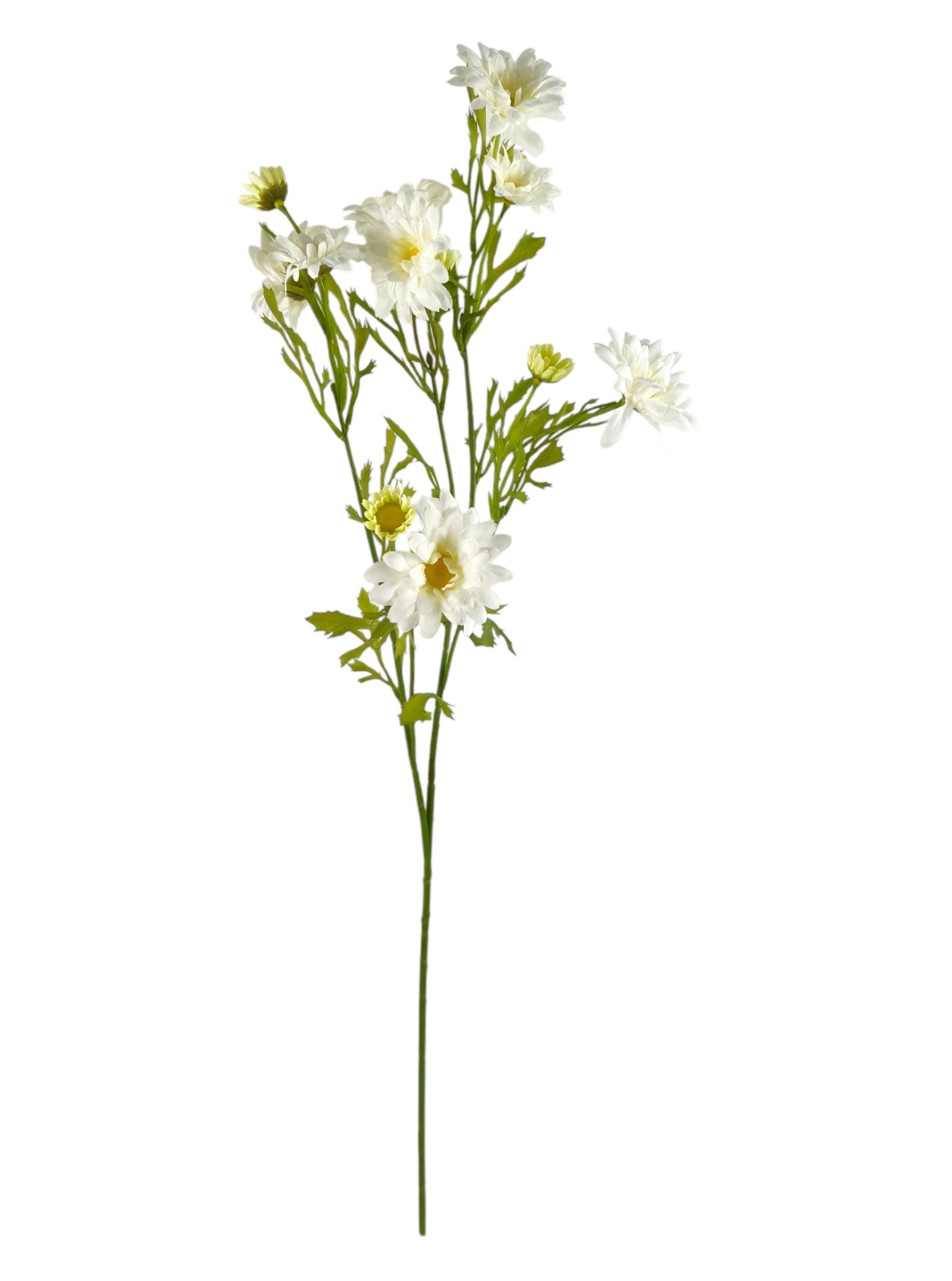 MARGHERITA SPRAY X5 69CM CR