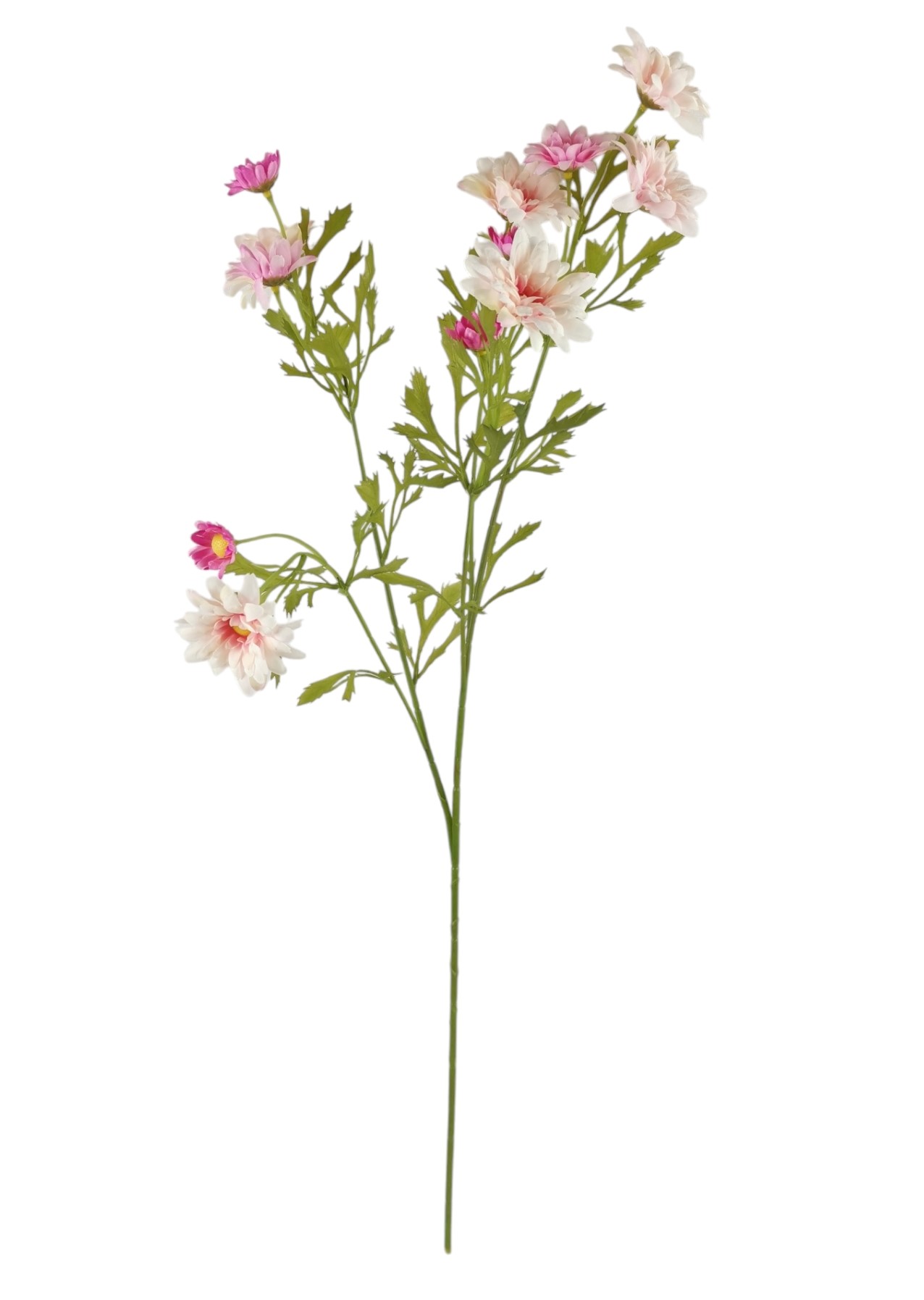 MARGHERITA SPRAY X5 69CM PK