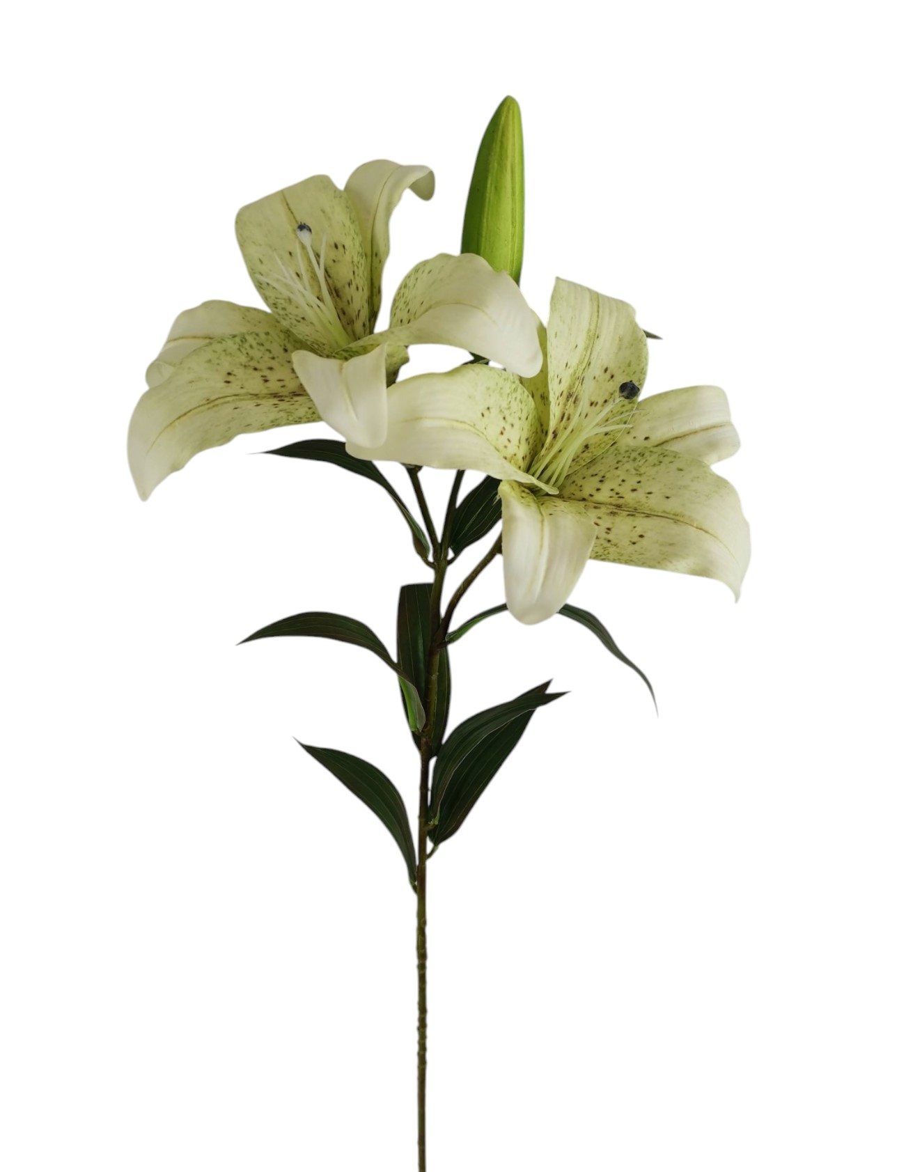 LILIUM SPRAY X3 RT 90CM CRGR