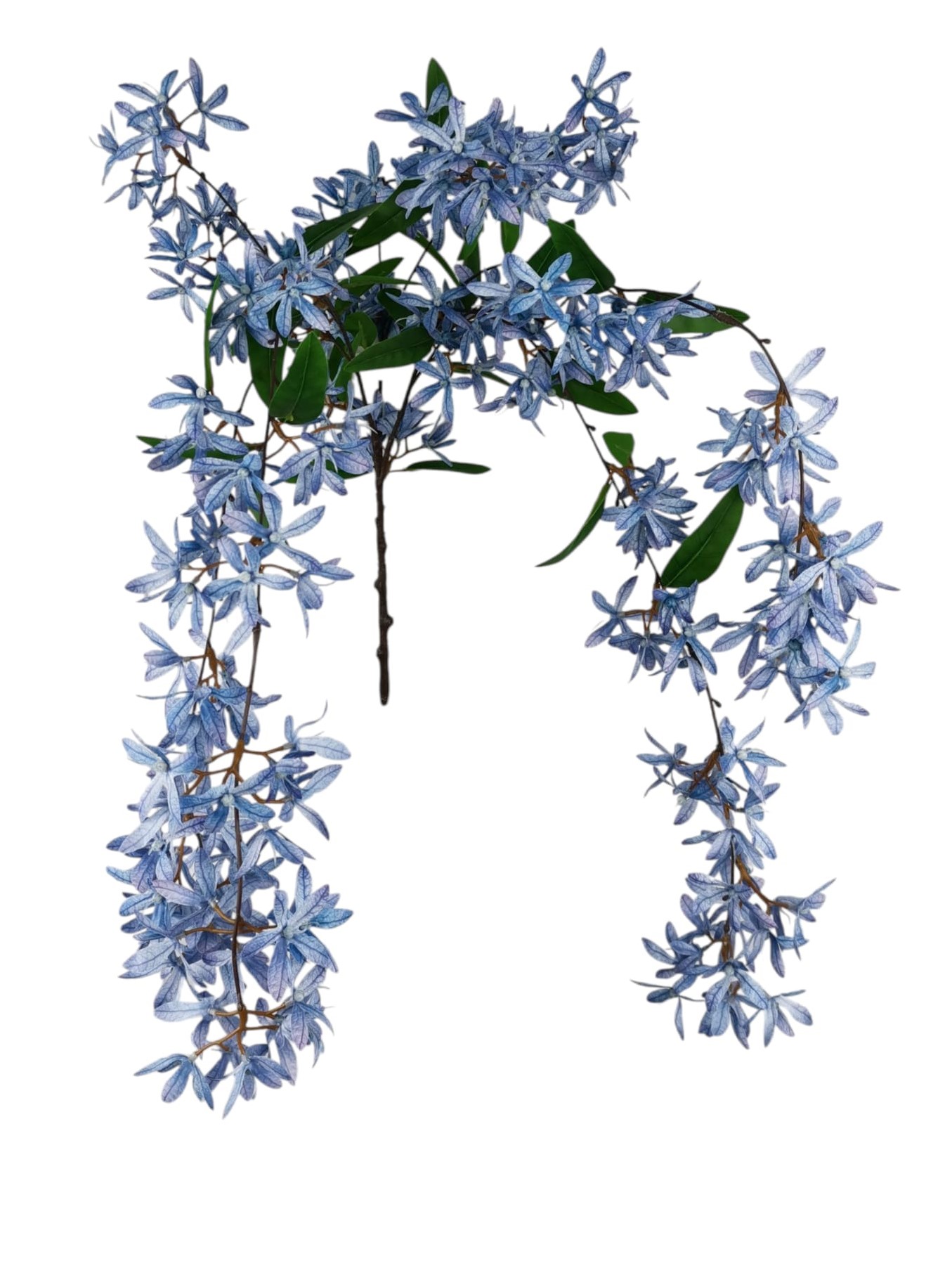 CADENTE GLICINE X3 84CM BL